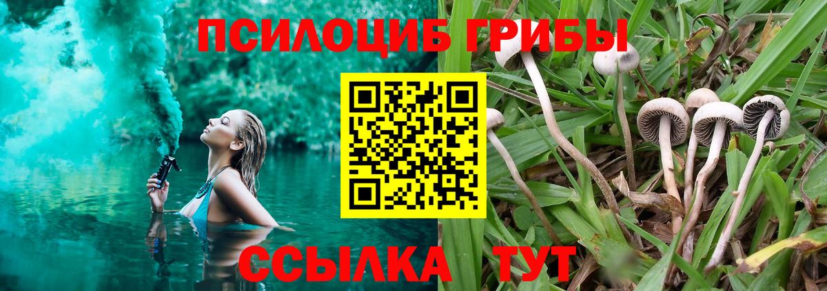 Орехово-Зуево  даркнет сайт  Вход с VPN  Галлюциногенные грибы Psilocybe 